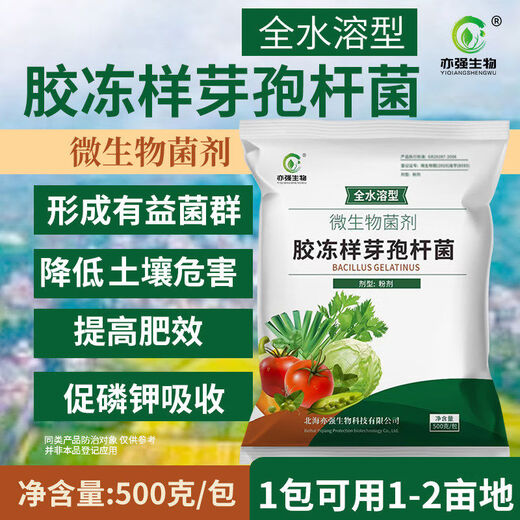 Yiqiang Biological fully hydrosol jelly-like Bacillus 10 billion improved soil potassium-solubilizing planting fertilizer plant growth inhibition 10 kg