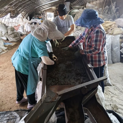 FANCYCHIC peat soil finely screened block particles various Specifications 18 liters for filamentous Phalaenopsis