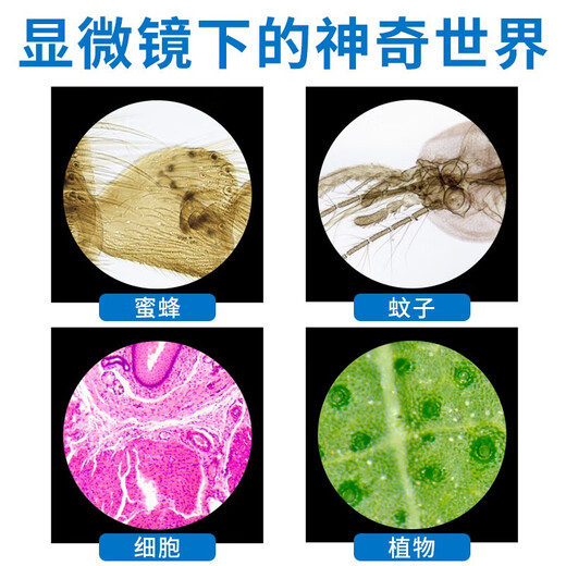 Miote children's microscope student high magnification professional 2000x portable bioscience experiment gift set with screen powder (1600x) + 12 specimens + spree