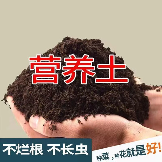 Nutrient soil for flower cultivation, organic soil, succulent golden kudzu rose pot, general planting soil for flower soil, vegetable soil, horticulture ratio, special nutrient soil for green plant potting, 10 Jin Jin is equal to 0.5 kg