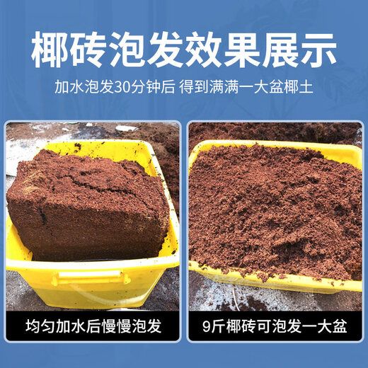 Coconut brick nutritious soil for growing vegetables, universal desalted coconut bran chunks, brick soil, turtle hibernation flower cultivation soil, planting soil, 650g coconut bricks, 7 pieces, vacuum packed, no residue