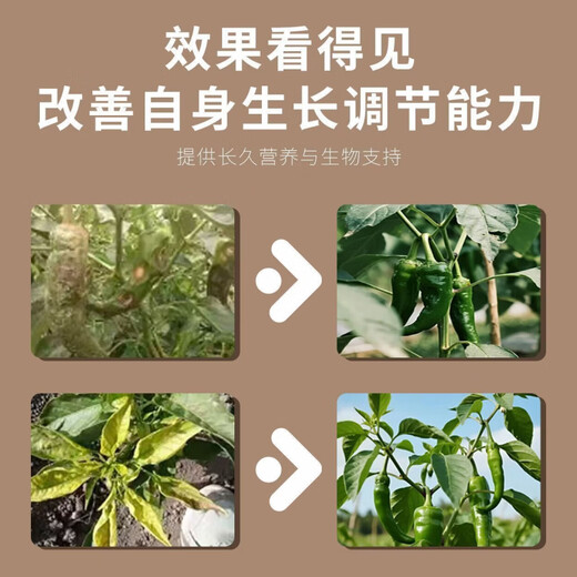 Hejiangnan pepper planting special soil improvement fertile soil rapid absorption of insect pests pepper base fertilizer treasure 5 bags can be used for 5 acres of land