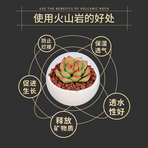 Red volcanic stone volcanic rock paving bottom sand fish tank landscaping particles orchids special soil fleshy breathable nutritious soil special for aquarium 1-3 cm 19Jin Jin equals 0.5 kg