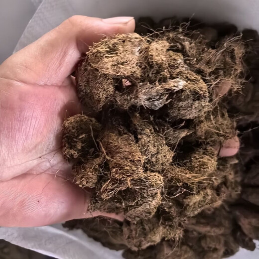 FANCYCHIC peat soil finely screened block particles various Specifications 18 liters for filamentous Phalaenopsis