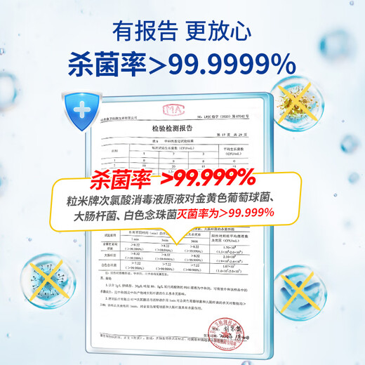 Granular rice hypochlorous acid disinfectant 500ml clothing pet sterilization tableware disinfection hand-free A influenza virus sterilization
