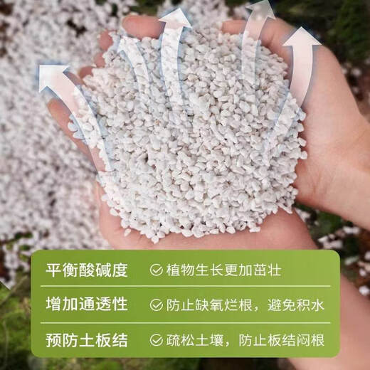 Perlite hard 80 liter whole package plant universal nutrition soil-rooted orchid succulent Phalaenopsis blueberry 5 liters 9-12mm super hard perlite