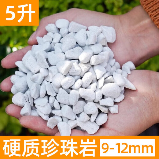 Perlite hard 80 liter whole package plant universal nutrition soil-rooted orchid succulent Phalaenopsis blueberry 5 liters 9-12mm super hard perlite