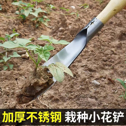 Kleine Schaufel zum Graben von Wildgemüse, Artefakt zum Graben von Böden aus Manganstahl, Werkzeug zum Pflanzen von Blumen, Garten-Haushaltsknoblauch-Gemüseschaufel, kleine Schaufel mit 7 cm breitem Kopf (Grifffarbe zufällig)