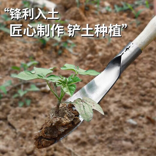 Kleine Schaufel zum Graben von Wildgemüse, Artefakt zum Graben von Böden aus Manganstahl, Werkzeug zum Pflanzen von Blumen, Garten-Haushaltsknoblauch-Gemüseschaufel, kleine Schaufel mit 7 cm breitem Kopf (Grifffarbe zufällig)