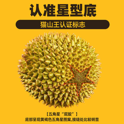 什果乐猫山王榴莲（D197）马来西亚进口带壳整果液氮冷冻水果礼盒 特大果6-7斤（包5房）