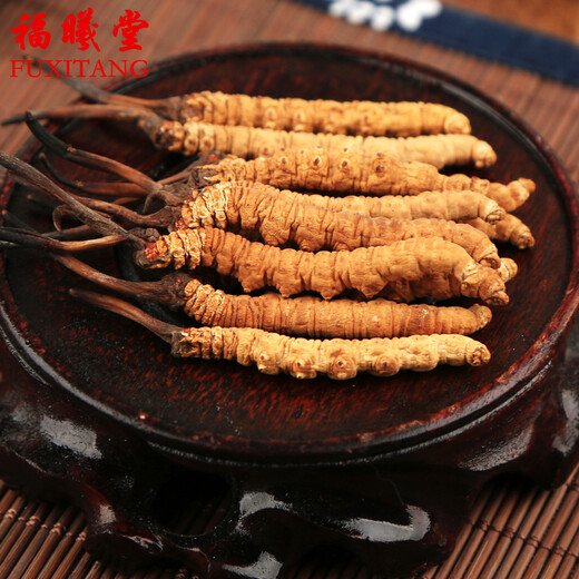 福曦堂 西藏高海拔 那曲冬虫夏草 那曲虫草  西藏冬虫夏草 西藏虫草4根/克 内装10克那曲冬虫夏草