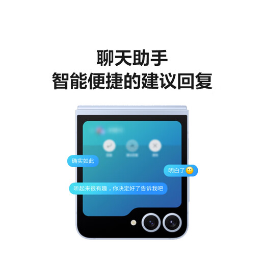 三星Galaxy Z Flip6 国家补贴 AI手机 折叠屏手机 大视野智能外屏 骁龙8 Gen3 双卡 12GB+256GB 星夜银