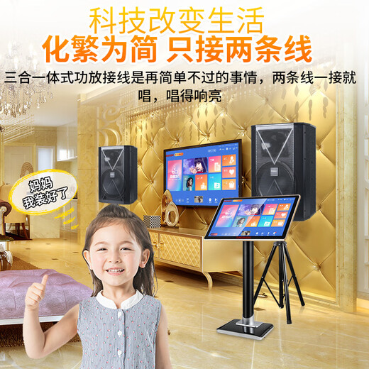 TEMEISHENG 特美声TK912KTV家庭音响组合套装专业效果器功放智能点唱KTV系统语音点歌ktv音响套装ktv音响家用 TK912套装+美声话筒+2T点歌机