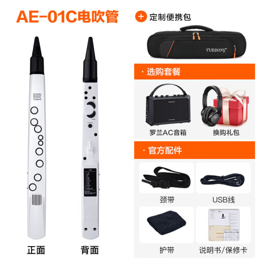罗兰（Roland）ae01电吹管电萨克斯自带音源民族音色ae05c初学入门电子管乐 AE01C标配+AC音箱+礼包