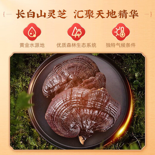 雷允上破壁灵芝孢子粉1g*60袋/盒吉林长白山灵芝粉袍子粉赤灵芝灵芝三萜 【福利效期至25年11月】灵芝孢子粉60袋*3盒