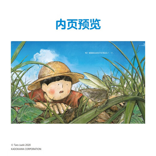 厉害的昆虫 拨开草丛 以真实的昆虫标本为基础，清晰展现各种昆虫的样貌，4-8岁科普百科启蒙绘本9787556265701