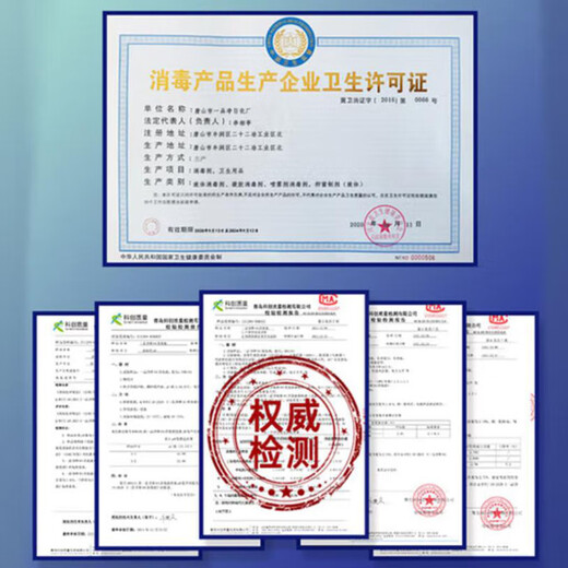 Yipinjing 1999/84 Disinfectant 518g*2 Clothing Bleaching Floor Toys Cleaning Disinfectant Water Environmental Sterilization