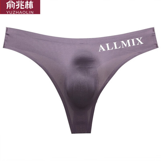 俞兆林（YUZHAOLIN）丁字裤低腰U凸弹力紧身性感男士T内裤一片式冰丝无痕露臀运动健身 男DZ 冰丝黑一条 L
