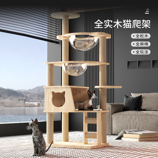 Pet Beya Pet Beya Cat Climbing Frame Cat Nest Cat Tree All-in-One All Solid Wood Does Not Take Up Small Cat Shelf Space Capsule Large Household Solid Wood Column Z3