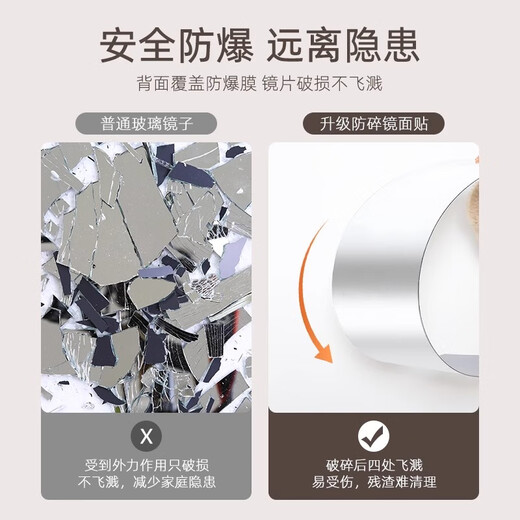嘀哒生活 DIDA LIFE全身镜异形亚克力软镜子贴墙自粘免打孔穿衣镜高清家用海豚试衣镜 海豚35*120CM【清晰不变形】
