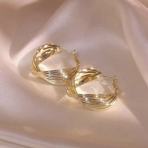 YaoYiZun earrings for women 2025 new style earrings light luxury niche high-end earrings birthday gift for wife temperament and small face (925 silver needle)