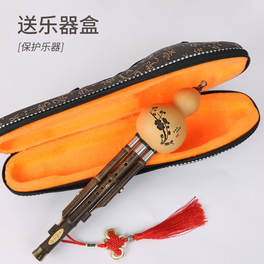 Yunnan Zizhulang Hulusi Musical Instruments Beginner Professional Performance Tuning Durable Seven-hole Zizhu Three-tone Hulusi C-down B-down DGF Primary School Student C-module No books