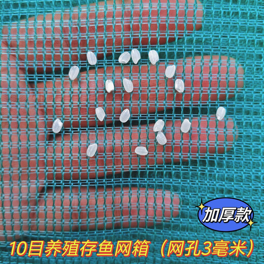 Fish farming cages, fish storage cages, bullfrog and eel fry cages, thickened cages, custom-made fishing nets, aquaculture cages, 5 mesh (4 mm mesh) stamped version, 1.5 meters long - 1 meter wide - 1 meter high