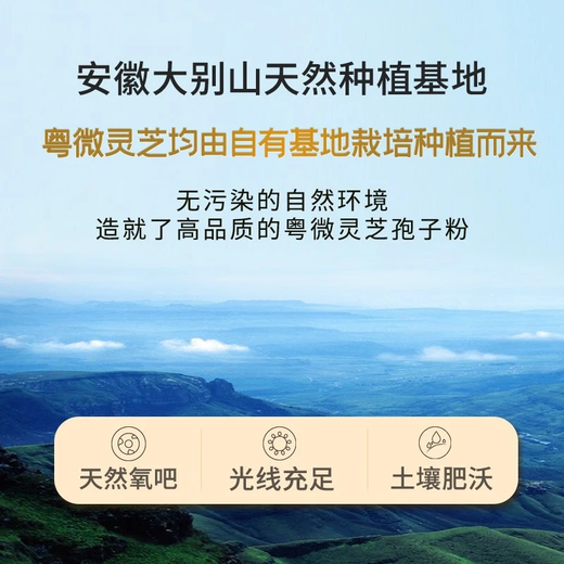 粤微全灵芝孢子粉2g*20袋/盒 免疫调节破壁送长辈中老年保健探病礼物