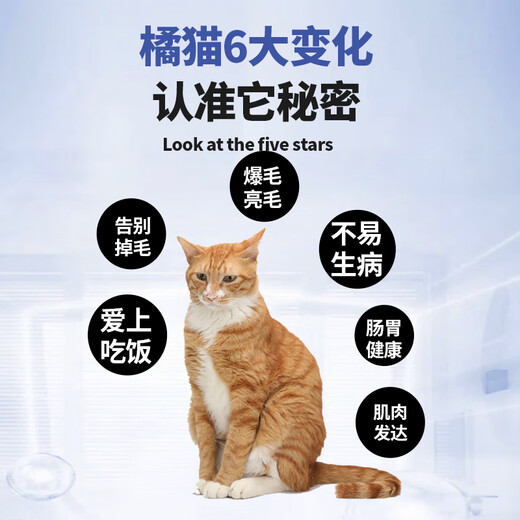 Its Secret Natural Grain-Free Cat Food for Orange Cats Its Secret Young Adult Dry Food Yellow-orange Cat Hair Beauty and Fattening Nutrition 5Jin Jin is equal to 0.5kg