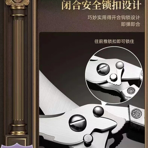 Ciseaux de cuisine allemands en acier fin 304 os de poulet, de canard et d'oie multifonctionnels en acier inoxydable ciseaux spéciaux solides pour os de poulet ciseaux à os de poulet faciles à utiliser