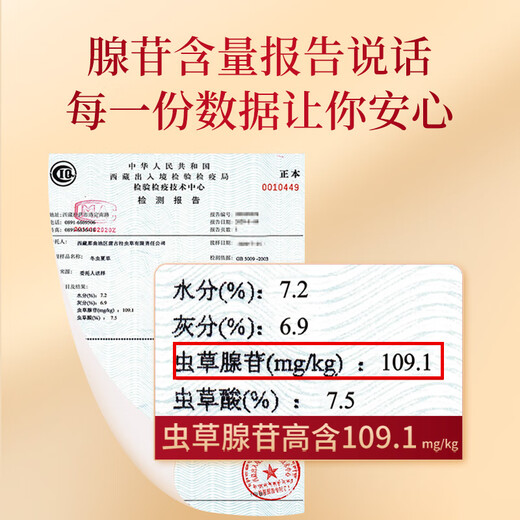 UE Rensheng Cordyceps sinensis aproximadamente 5 piezas/g 50#1g aproximadamente 5 piezas selección hecha a mano limpia y completa de uso automático nutritiva salud