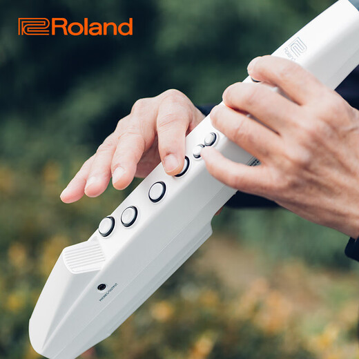 
Roland (Roland) hair tube AE01C comes with sound source speaker recorder fingering method electronic wind instrument for beginners AE01C+carrying bag+charging set+headphone gift bag