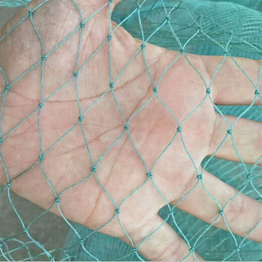 Lotus flower fence guardrail net breeding net chicken farm duck net fishing net lifting net river net poultry net anti-bird net climbing vine net thickened rope 18 strands side length 2 cm mesh