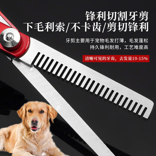 Tanizaki Pet Grooming Scissors Universal Professional 7-inch Shearing Tool for Cats and Dogs Safe and Anti-punch Design zr7.0/Round Head Anti-punch-Straight + Curved + Steel Comb + Bag