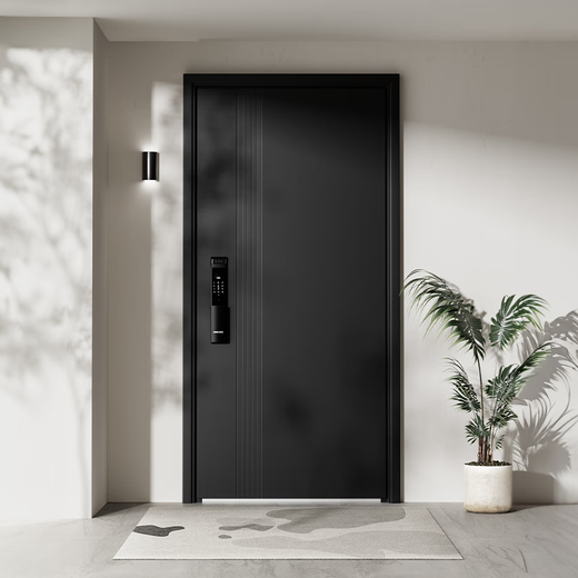 Modern thickened Class A security door entrance door + thickened insulation new hidden hinge mother door + smart lock Mechanical lock 2150*1050/2250*960