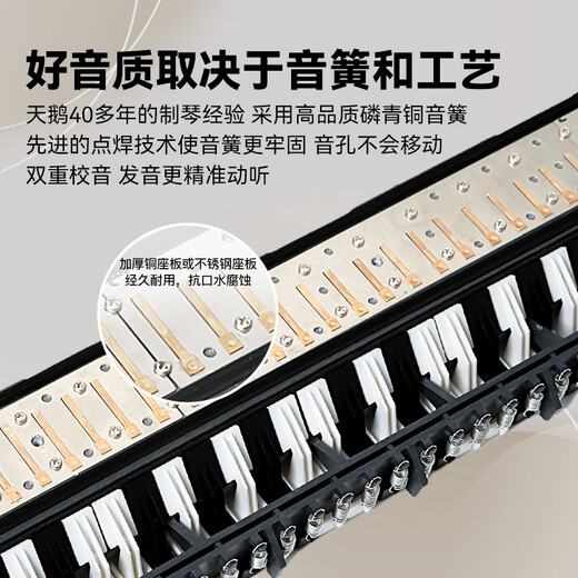 天鹅口风琴37键专业演奏级小学生专用儿童成人初中生初学者入门 【演奏级】37键白色