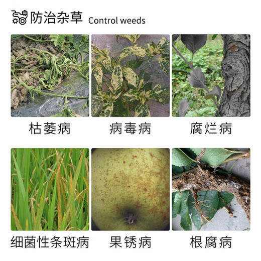 国光秀功1.2%辛菌胺醋酸盐腐烂病流胶病果锈病枝苗木病害农药杀菌剂1L
