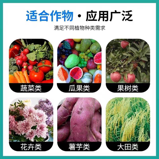 98% increased amine production, DCPTA original powder, roots and fruit expansion, increased production, improved quality, color and sweetness, green leaves, roots and seedlings, 100g simple packaging, free one gram spoon