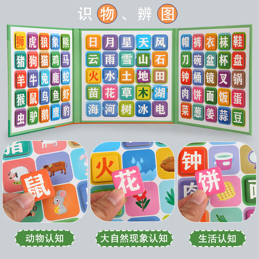 Baby Lire Pictures and Literacy Puzzle Enfants âgés de 3 à 6 ans