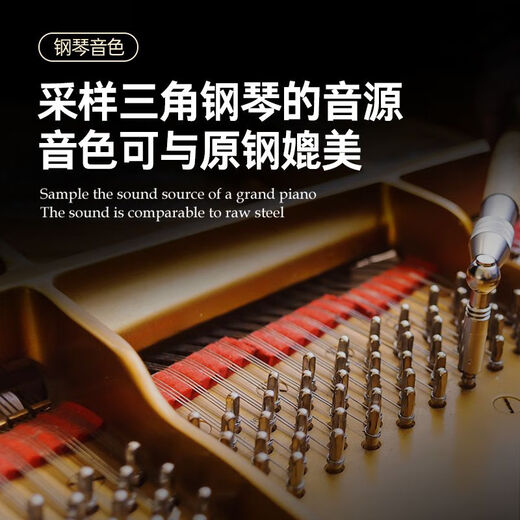特伦斯（Terence）电子琴88键折叠电子钢琴高档便携式幼师成人初学者自学入门 【便携款】炫酷黑+琴包-88健