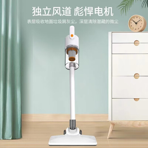 扬子 无线手持吸尘器家用吸尘机扫吸拖三合一扫地机车家两用大吸力除尘机 【祖母绿 升级款】吸尘器+扁吸+地刷+圆刷+小毛刷