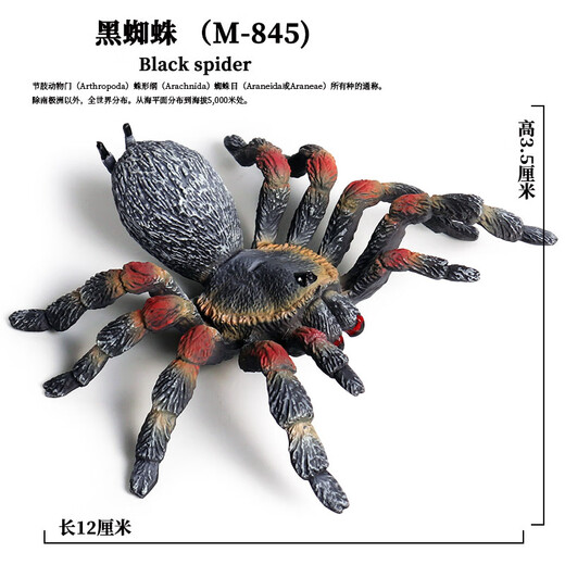 Simuliertes Gummi-Spinnen Neue Halloween Streichspielzeug simulierte Spinnengiftspinnen-Spinneninsekten-Tiermodell Kinderspielzeug Plastik Ornamente Geschenk Ox-683 Brasilianer Blue Bird-Catch-Spinne [0,017 kg]