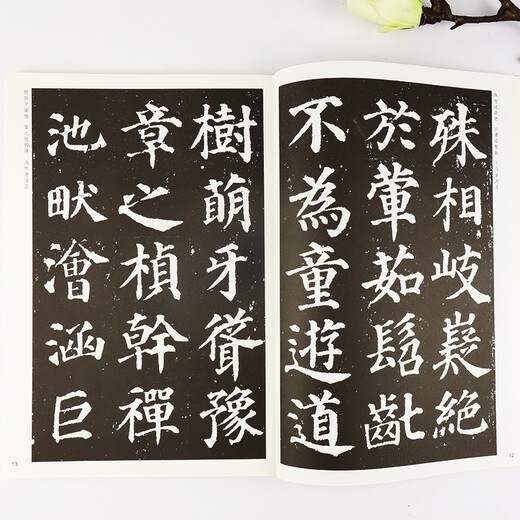 Ink dot copybook Tang Yan Zhenqing Duobao Pagoda original copy Yan style regular script brush calligraphy copybook Beginner entry-level elementary school students adult self-study entry copy copy template training class practical book brush calligraphy