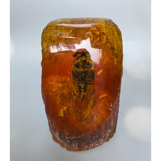 Fat Donglai's same high-quality amber raw stone, artificial amber beeswax raw stone, real insect specimen ornaments, crab Zhizhi original film