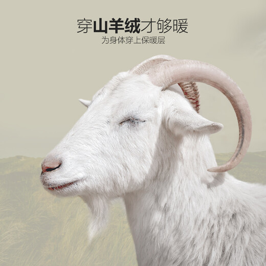 三针羊绒蚕丝保暖内衣男加厚冬季打底男士秋衣秋裤套装圆领内穿打底衫 暖心咖【圆领加厚】 3XL /160-180斤