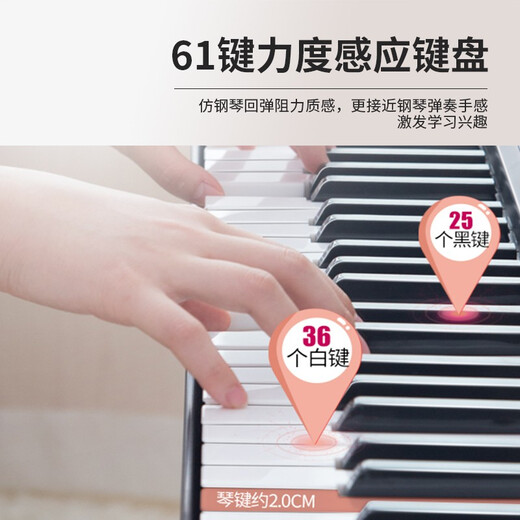 MOSEN BD-665 electronic keyboard 61-key dual-power supply beginner children's teaching multi-functional entry-level keyboard Z frame type