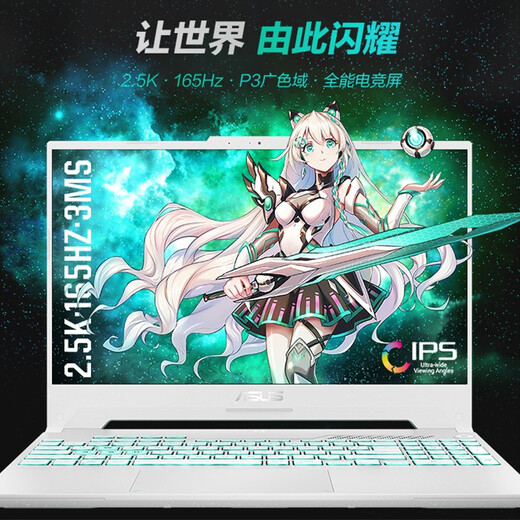 华硕（ASUS）天选3 2 飞行堡垒 二手笔记本 电脑 15.6英寸高颜值高性能电竞高端游戏本 L款：18款i5-8300H-16G-1050Ti 95成新