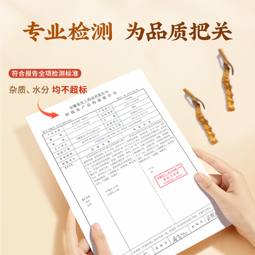 雷允上冬虫夏草  冻干虫草 冬虫夏草精选品质高洁净虫草 送父母送亲友 A32-1g断草
