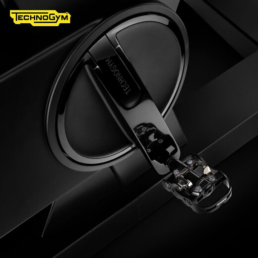 Technogym RIDE smart home exercise bike with adjustable slope resistance imported fitness equipment shipped within 7 working days