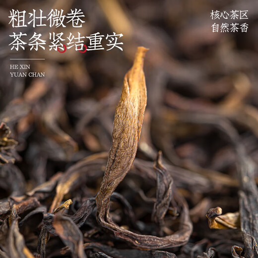 Fumingyuan Oolong Tea, Phoenix Dansong, Duck Shit, Zhilanxiang 2025 Nouveau thé spécial 50g Tea en conserve, buvez par vous-même